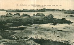 CPA Tregastel La Plage Vue de L lle Aux Dirigeables