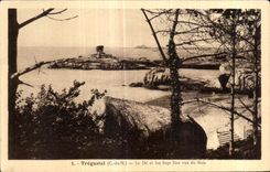 CPA Tregastel(C du N) Le De et vles Sept lles vus du Bois
