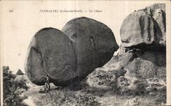 CPA Tregastel (Cotes du Nord) Le Chien
