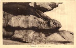 CPA Tregastel Le Lapin