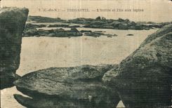 CPA Tregastel L huitre et l ile aux lapins