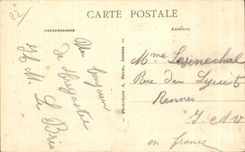CPA Tregastel Le Castel Ste Anne et les Tortues