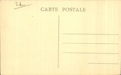 CPA Tregastel Plage Le Castle Ste Anne et les Tortues