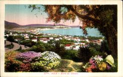 CPA Nice Entre les Oliviers