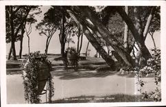 CPA Juan Les Pins Square Gould