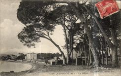 CPA Juan Les Pins Vue La Pinede