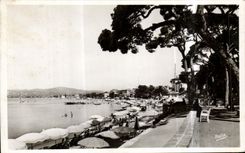 CPA Juan Les Pins Las Pinede et la Plage Cpllection la Cote 