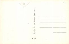 CPA los grandes detalles de la dimension del oso polar de las rocas