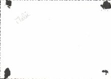 CPA Sirmione la siega del ano 1957 del protector