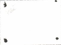 CPA Venice Bridge of Rialto Year 1957