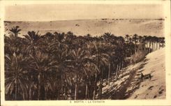 CPA Nefta La Corbeille