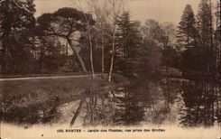 CPA Nantes Botanical garden Seen from of the Caves