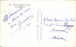 CPA Nice (the Alps Martitimes) View