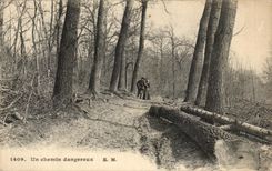 CPA Un chemin dangereux