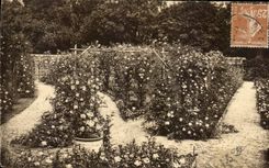 CPA La Roserale Japonalse