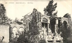 CPA Tunisie Tunis Mida Belvedere