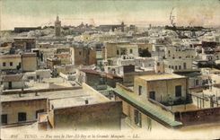 CPA Tunisie Tunis Vue vers le Dar Et Bey et la Grande Mosquee