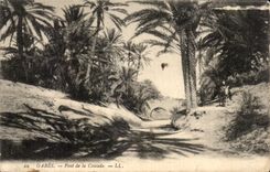 CPA Tunisie Gabes Pont de la Cascade Ane Donkey