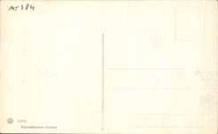 CPA Firenze Cappelle Medicee La Notte