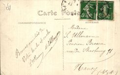 CPA Nice Panoramic View of the Gardens