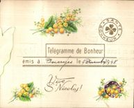 CPA Fantaisie Fleur Telegramme de bonheur 