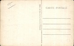 CPA the Pyrenees Bagneres de Bigorre Allee of Coustous