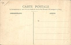 CPA Amboise Les Ponts et la Vallee de la Loire