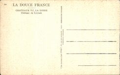 CPA Soft France Castles the Loire Castle of Luynes