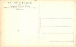 CPA La Douce France Chateaux La Loire Rigny Usse 