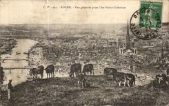 CPA Rouen View Taken Dimension Sainte Catherine Vaches