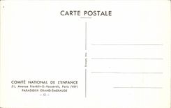 CPA Large Bird of paradise Emerald bird bird