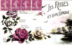 CPA Les Roses Et Leur Langage