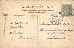 CPA Fantaisie Fleurs Rose Bonne heureuse annee