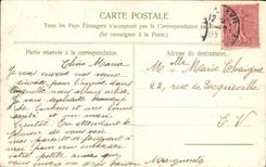 CPA Fantaisie Fleurs Rose Bonne Annee