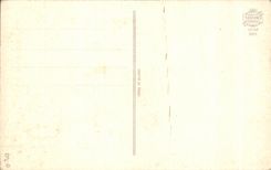 CPA Fantaisie Fleurs Rose Bonne fete Maman