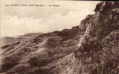 CPA Octeville On Sea (the Seine Int) Cliffs