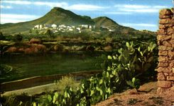 CPA Bou Saada La Ville sainte d El Hamel