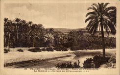 CPA L Aures Environs De Biskra Oasis de M Chouneche La riviere a l entree 