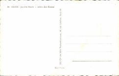 CPA Blida Jardin Bizot des Roses 