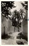 CPA Laghouat Une rue de la Grande Segu