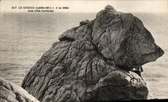 CPA Croisic (the Loire Inf) With the Dimension a Curious animal