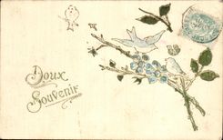 Soft CPA Souvenir Fantasy Bird