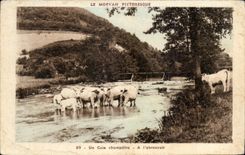 CPA Picturesque Morvan a Pastoral Corner AINTERIM feeding trough Cows