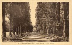 CPA Coulommiers the Capuchins Allee central