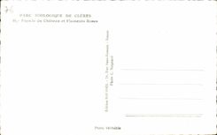 Jardines zoologicos De Cleres Frontage de CPA del castillo y del parque zoologico de las rosas de Flaments