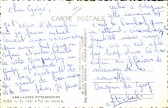 CPA Picturesque Moors Out of forest Pot of resin