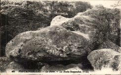 CPA Fontainebleau La Foret La Roche Suspendue