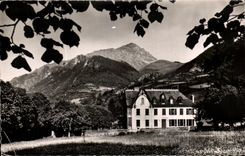 CPA Roland Foundation Daisies