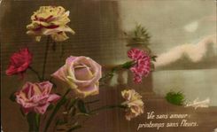 CPA Fantaisie Fleur Vie Sans amour Printemps Sans Fleurs