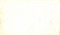 CPA Fantaisie Fleur Pensez a moi